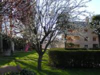 LOS HALCONES I, vista exterior