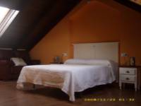 PAJARA PINTA, vista interior