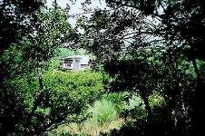 EL LINAR, San Martín del Castañar, Salamanca