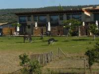 SABINARES DEL ARLANZA, Puentedura, (Burgos), vista exterior