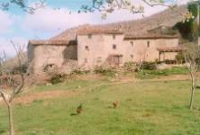 Tálamo, Cortiguera, Burgos