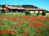 DEL VERDE AL AMARILLO EN EL VALLE DEL PIRON, Peñarrubias de Pirón