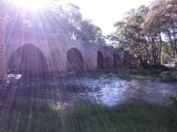VILLA ESPINA, Quintana del Puente , (Palencia), vista exterior