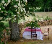 VIVIR EN EL CAMPO I, vista interior