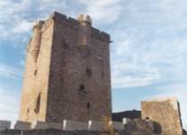 Castillo de San Felices de los Gallegos desde el Sur