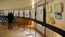 Centro de Interpretación del Bajo Tormes (Monleras) - Exposiciones