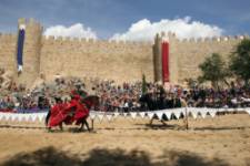 Jornadas medievales de Ávila