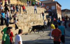 La Vaca enmaromada