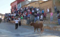 La Vaca enmaromada