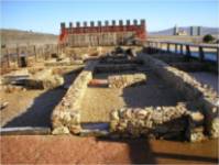 Rosinos Vidriales Petavonium Excavación