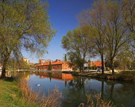 Ramalillo del Canal de Castilla en Palencia