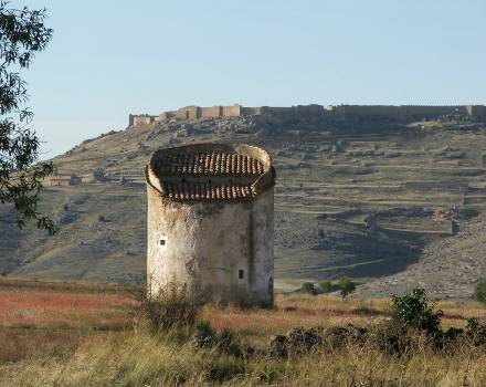 Palomar de Recuerda, al fondo fortaleza califal de Gormaz, Soria (Cappa Segis)
