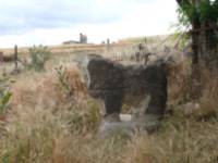 El Oso