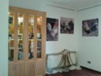 Museo del Gallo