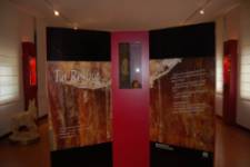 Museo de la Resina