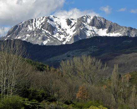 Fuentes Carrionas y Fuente Cobre - Montaña Palentina. Espiguete
