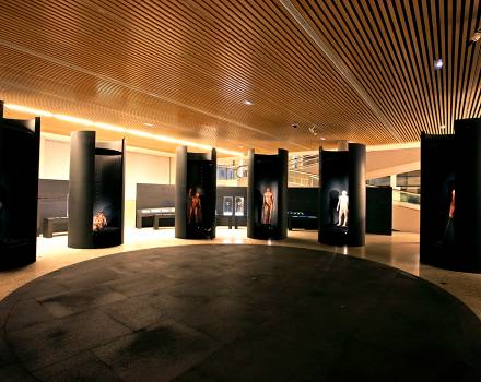 Museo de la Evolución Humana