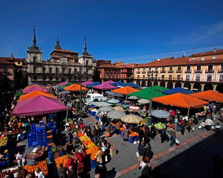 Plaza Mayor de León