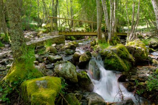 Camino Cueva de San Genadio