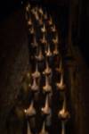 Semana Santa en Zamora