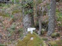Asentadero - Bosque de los Espejos