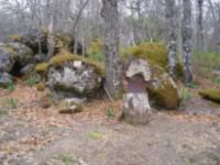 Asentadero - Bosque de los Espejos