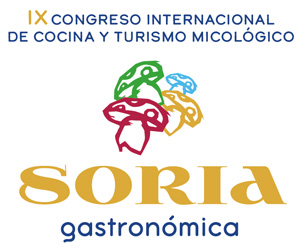 Logotipo XI Congreso Soria Gastronómica