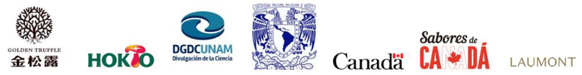 colaboradores-internacionales