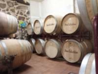 Bodega Don Celestino cubas