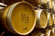 Bodegas la Zorra