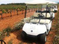 VileLAfinca_3