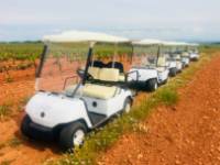 VileLAfinca_4