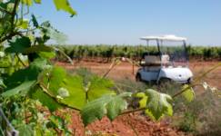 VileLAfinca_5
