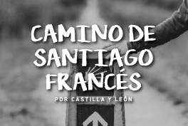 Camino de Santiago Francés por Castilla y León