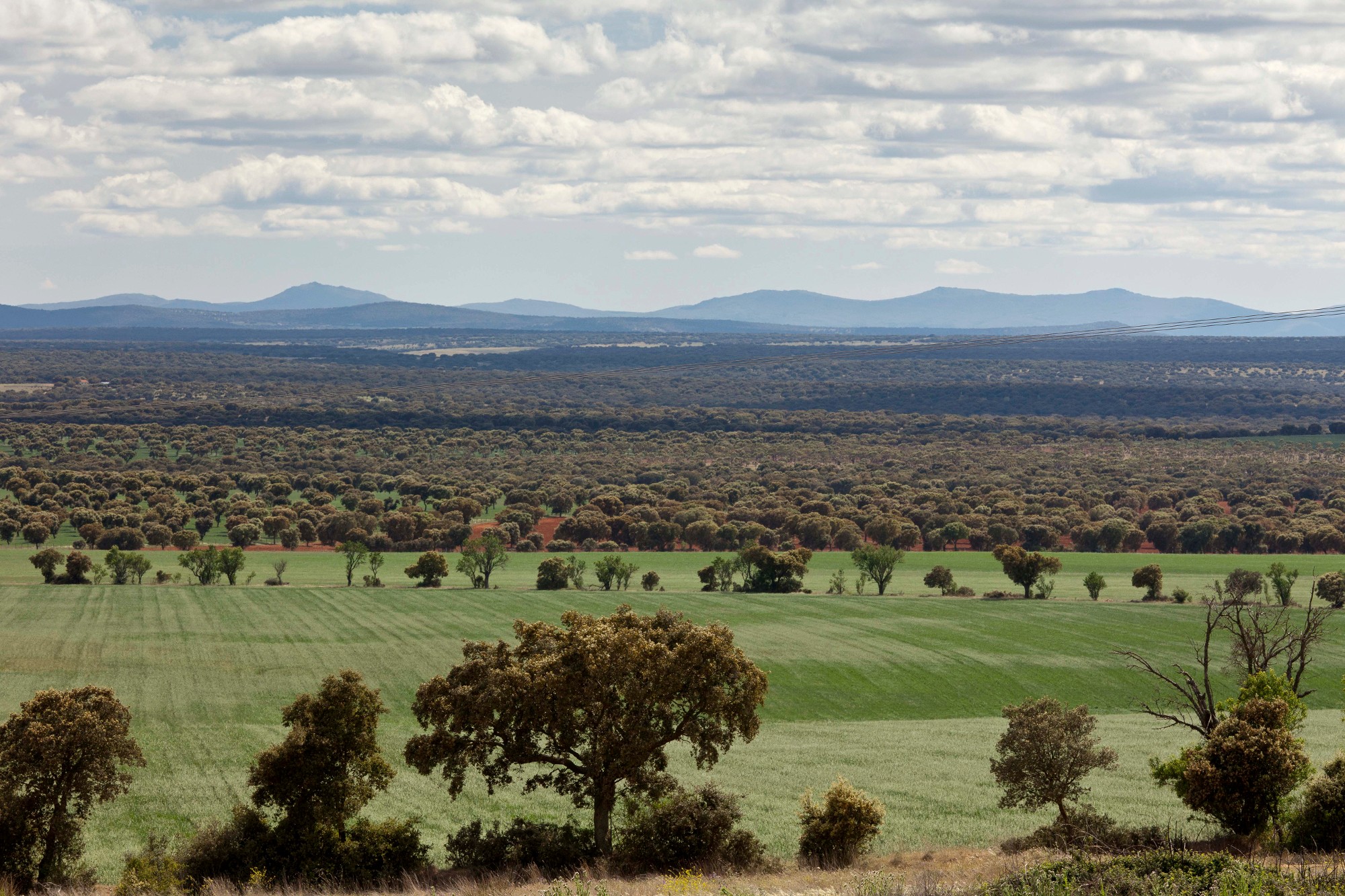 hq Dehesa de Salamanca