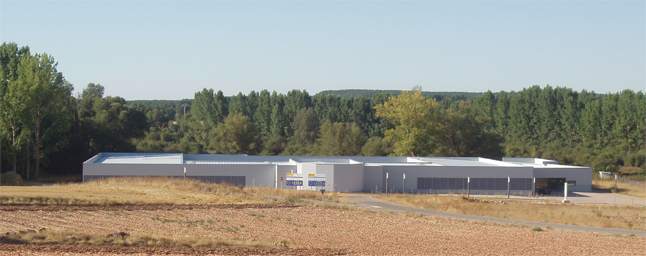 Villa romana 'La Dehesa' de las Cuevas de Soria