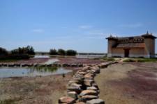 Reserva Natural Lagunas de Villafáfila