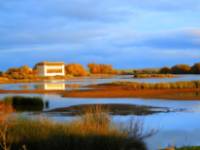 Reserva Natural Lagunas de Villafáfila