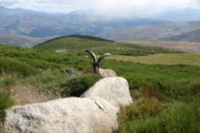 Sierra de Gredos