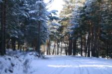 Sierra de Gredos