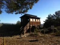 Centro del Lobo Ibérico _8