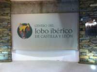 Centro del Lobo Ibérico _2