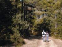 Miradores