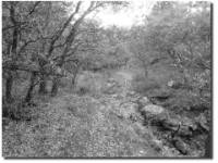 Arroyo