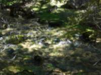 Itinerario Sierra de Cabrejas. Ruta circular de la Fuentona