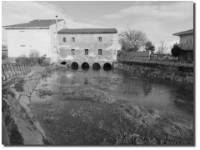 Molino y caño