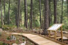Ruta accesible de la Casa del Parque 'El Risquillo'