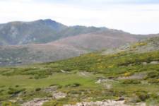 Senda de la Laguna Grande
