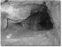 Cueva del Lobo