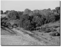 Valleoscuro
